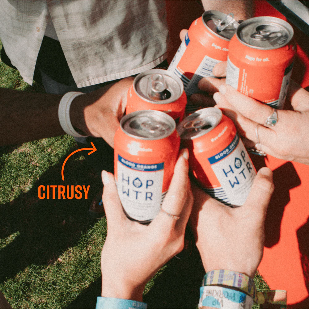 Blood Orange 6 Pack - Image 3